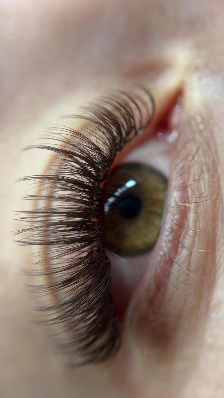 Nahaufnahme einer Wimpernverlängerung in Braun